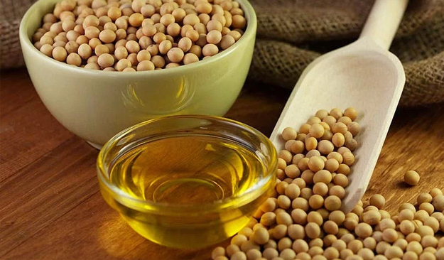 Soybean Oil (degummed and refined)